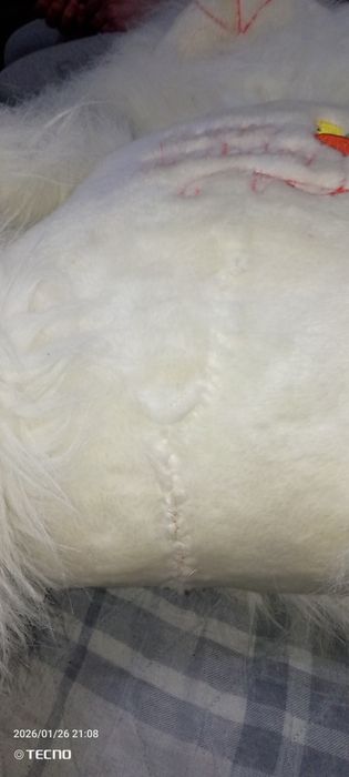 Мягкая игрушка - медведь и заяц!