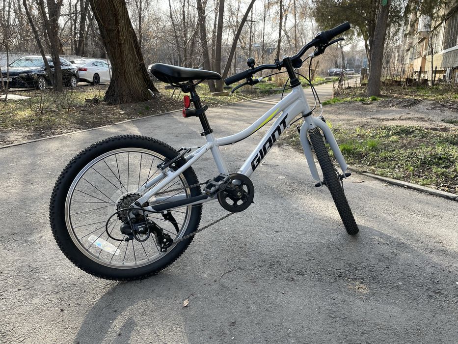 Детский Велосипед Giant XTC Jr 20 Lite 2022