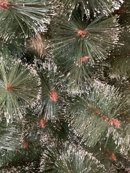 Продам ёлки новогодние