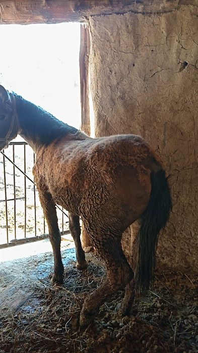 Гарантия жирны 100%