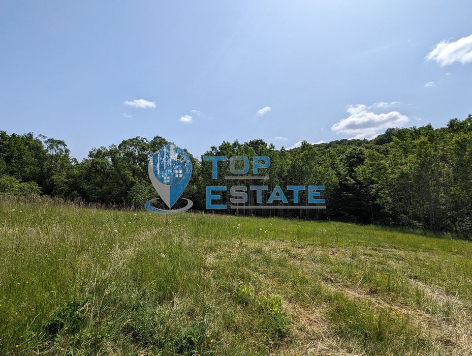 Парцел за жилищно строителство в село Войнежа