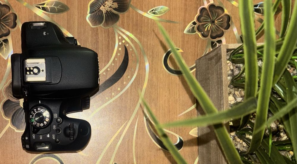 Canon EOS 800D – КАТО НОВ (4000 кадъра) + Обектив + Чанта + SD карта SanDisk Ultra A1 256GB