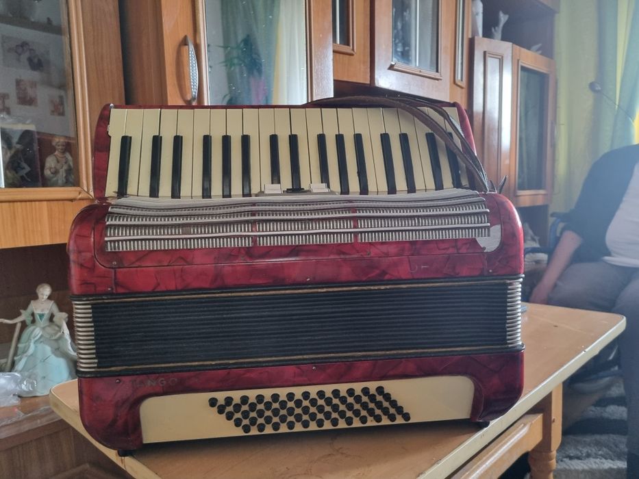 Vand acordeon hohner