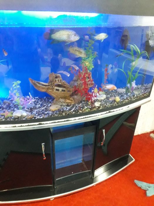 Болалар уйингохи, детский плошадка жихозлар тоза хитойники