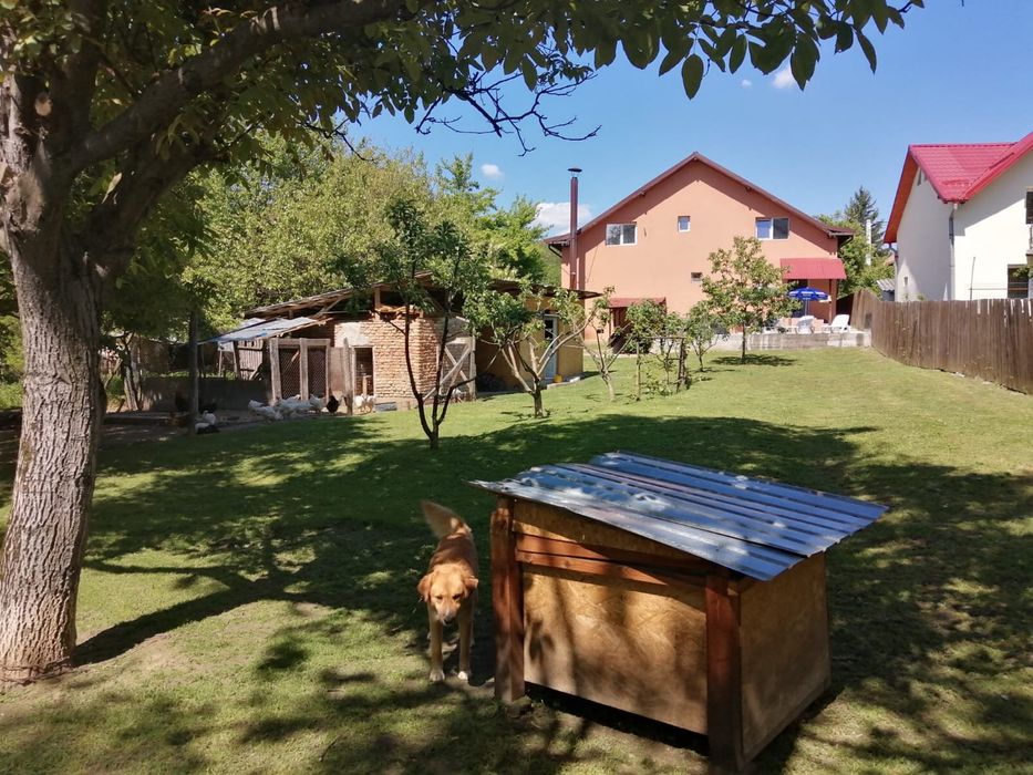 Vand Casa comuna Budesti