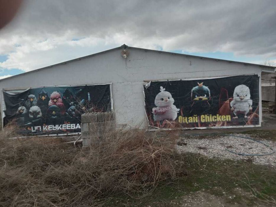 продам птицеферму