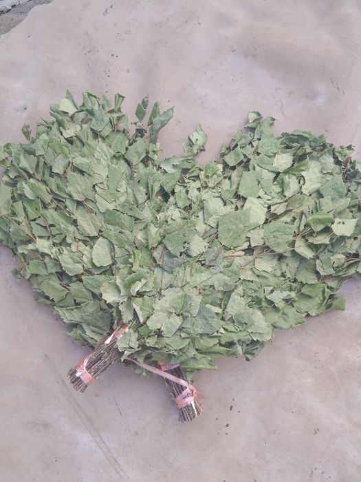 Березовые веники