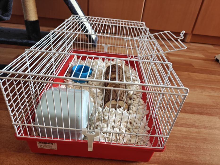 Cusca hamster pitic