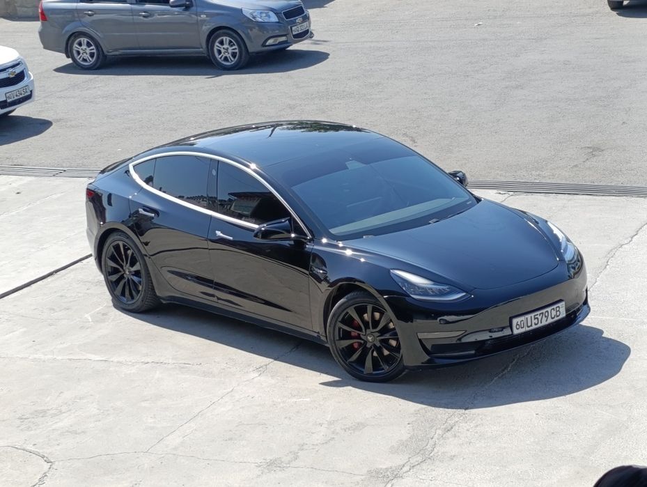 Tesla model 3 2019