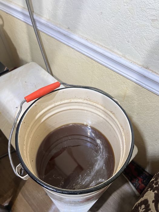 Tabiy asal yantoq/mayskiy optom/dona/eng mazali/yetkazib berish