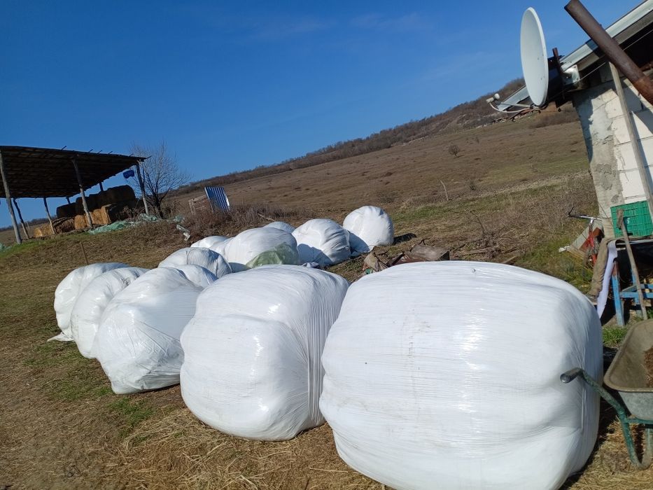 Vând baloti rotunzi 120/120