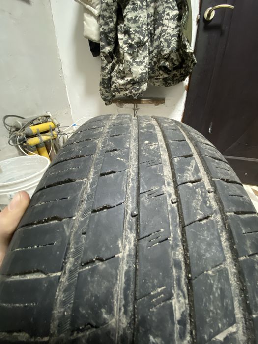 Продам ризина р16