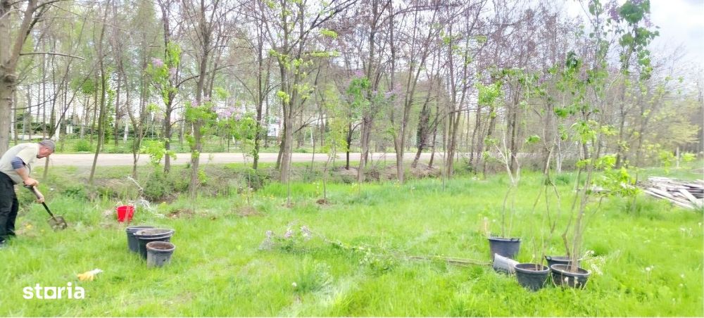 Teren de vanzare,proiect de casa,Cartierul Olandez, Joița, Giurgiu