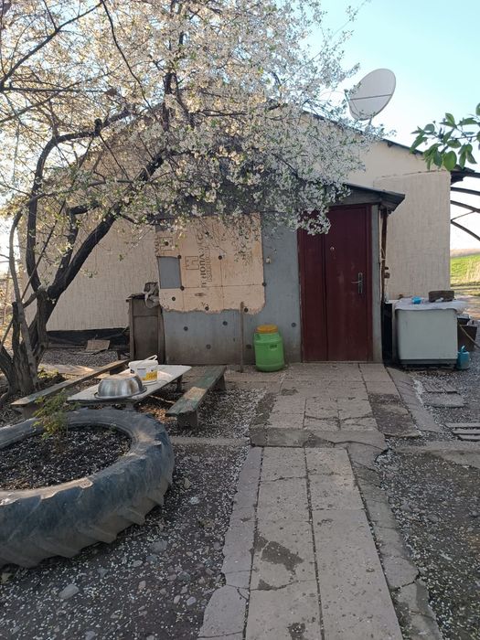 Продаётся фазенда!!!