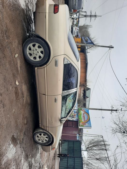 Вложения по кузову