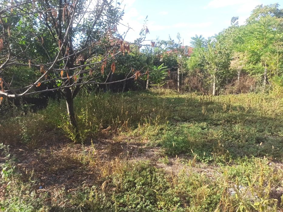 Продава се Къща в Камено - 60 кв.м за 680 €/кв.м - Снимка #7