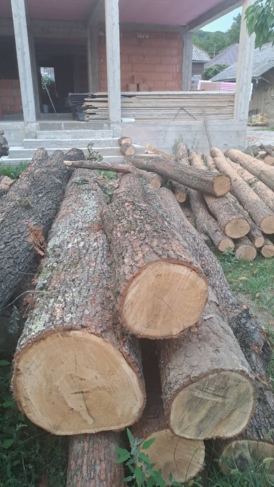 Lemn stejar construcții
