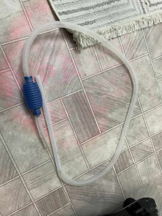 аквариум состоение новая