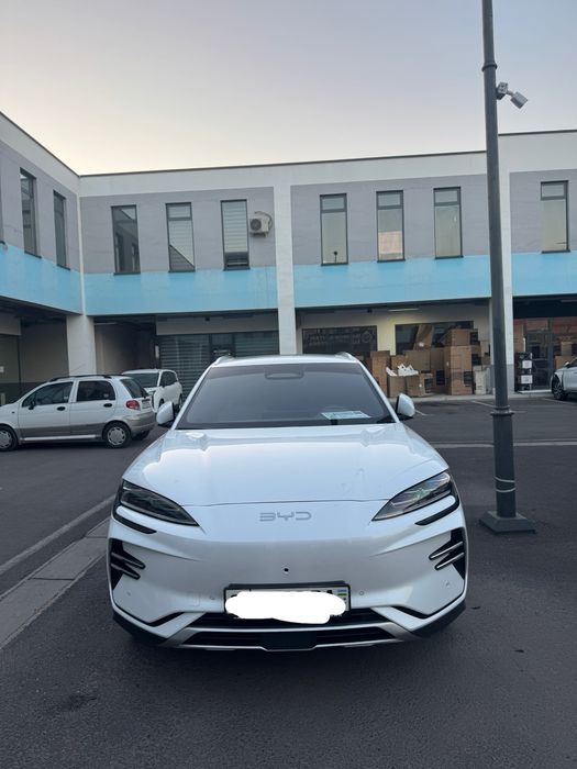 Byd champion smart 3000 km probeg