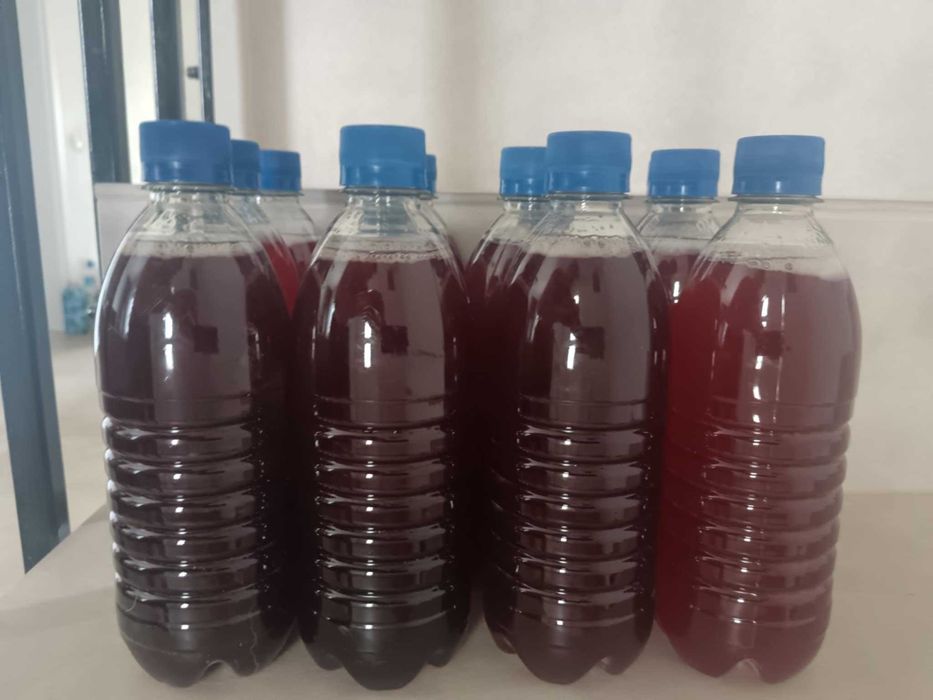 Sirop de muguri de brad