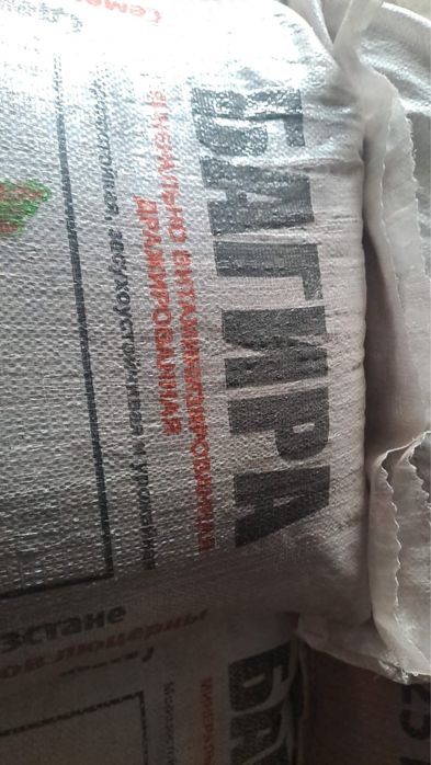 сорт Багира Дрожевой 97 % свхожесть