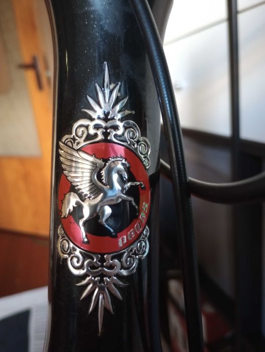 Bicicleta Pegas Hoinar (pentru oras, livrari, sau drumetii)