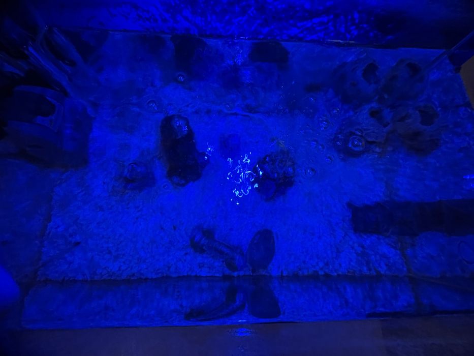 Аквариум 53/28/34см с пълен набор аксесоари