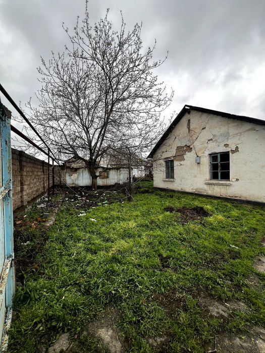 Продается дом в Ташкентской области