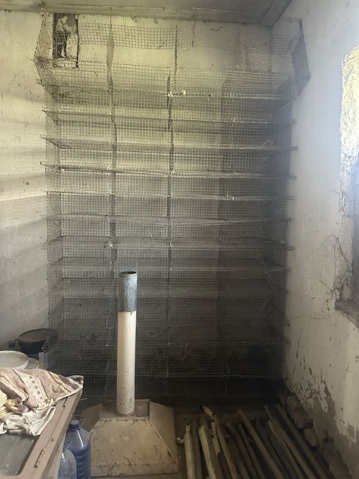 Bedana qafas tuxum yetishtirish un