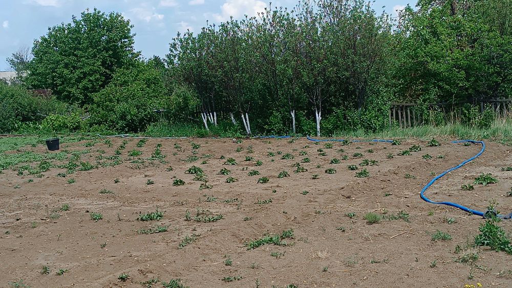 Продам дачу ПК Ягодка