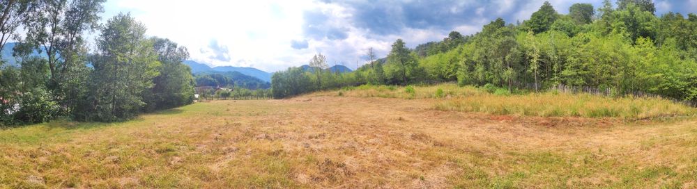 Teren 5600mp in localitatea Malaia