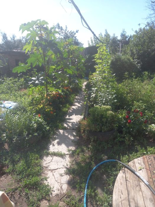 Продам частный дом