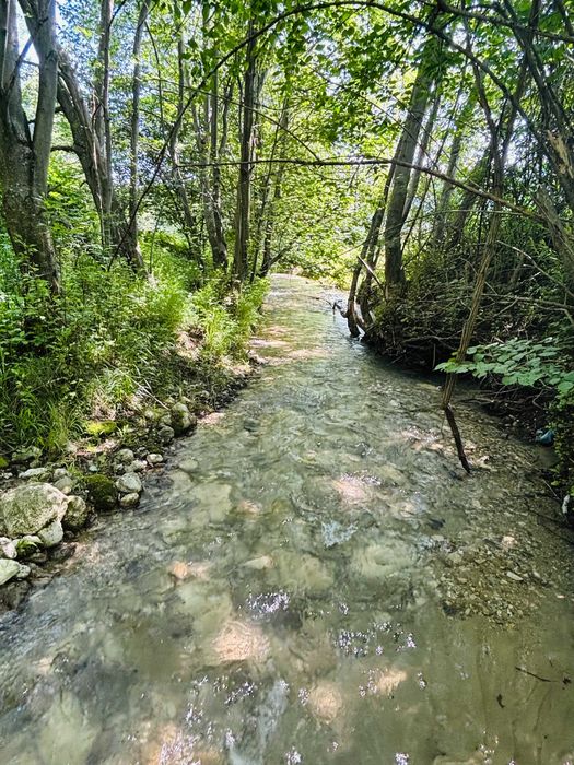 teren de vanzare Rasnov