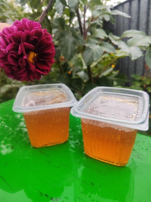 Продам свежий мёд, разнотравье