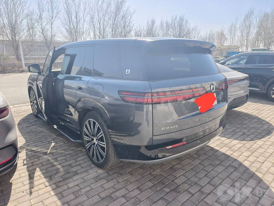Denza N9 Flagship 2025
