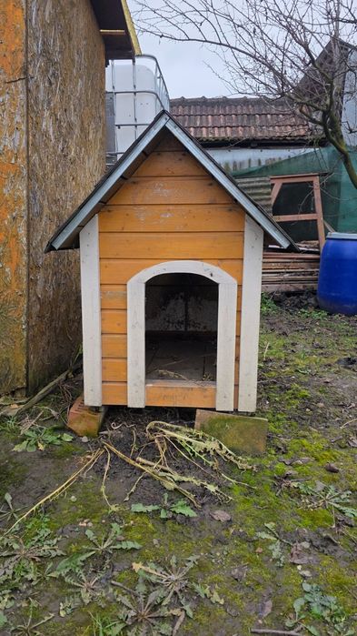 Casuta catel de talie medie