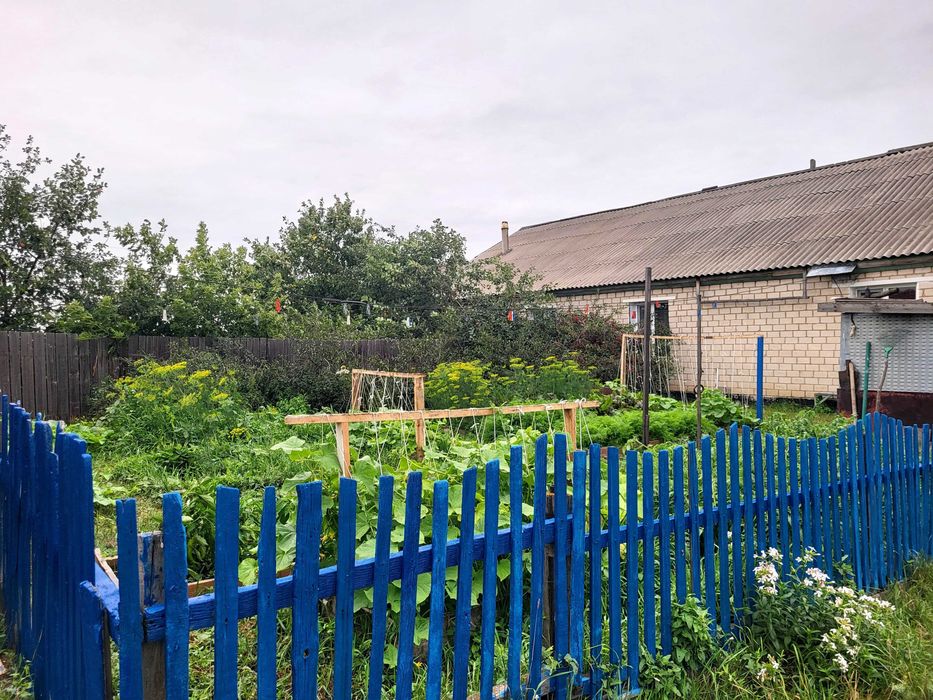 Уютный дом в Аулиеколе