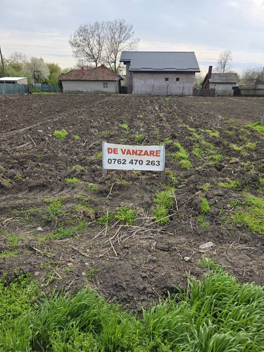 Teren intavilan 2 loturi  Movilita 1.000mp