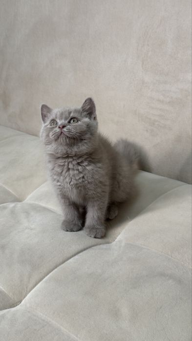 Dunyodagi eng yaxshi jinsiy aloqa video