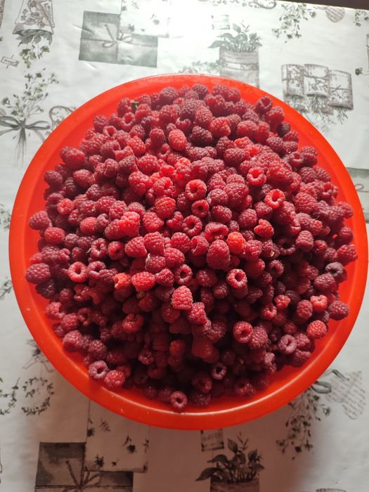 Малина сладкая крупная