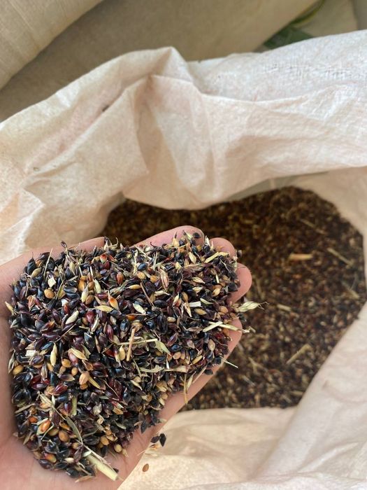 Суданка круги сотилади