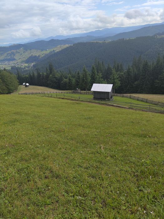 Teren de vanzare 1 ha – Perivata, Argel, com. Moldovița, Suceava