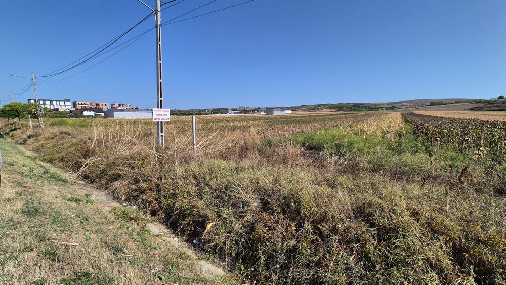 Teren Răcari la DE 70 - Vatra Romana