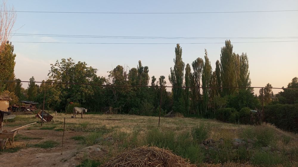 Юқори Чирчик тумани  (Жамбул) махаласида yer сотилади!