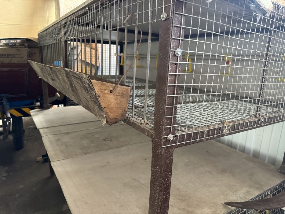 Клетки две штуки для птицы или кроликов