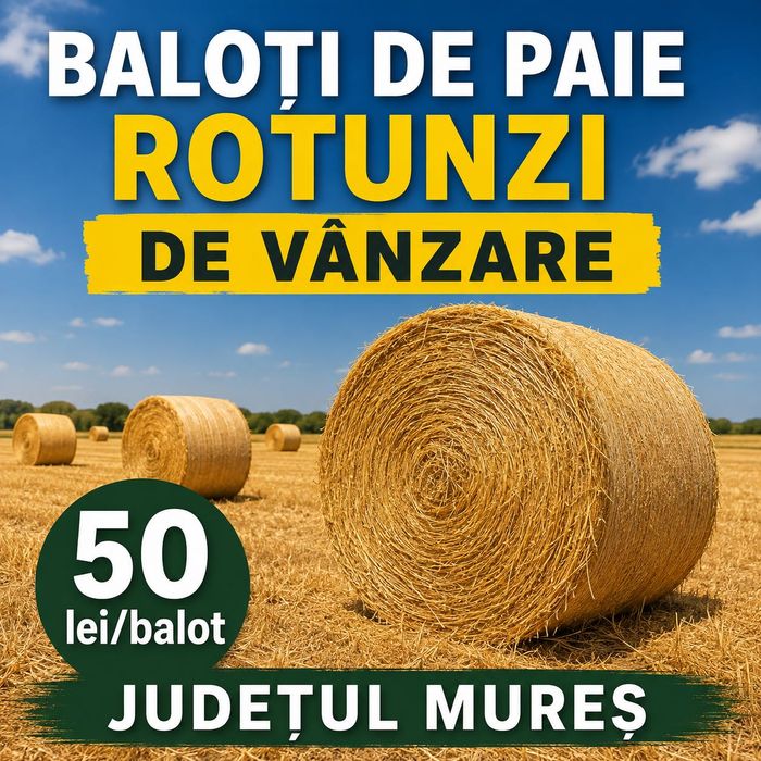 Baloți de paie orz