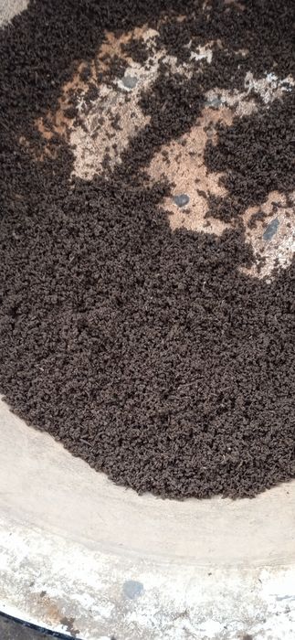 Биогумус для растений 3500 тенге