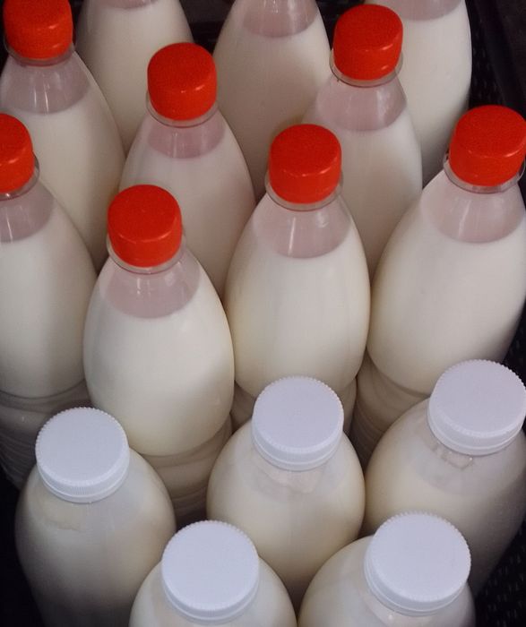 Козье молоко, йогурт