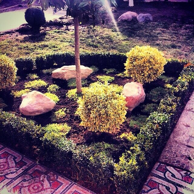 Ландшафтный дизайн,газоны,система полива,уход за садом.