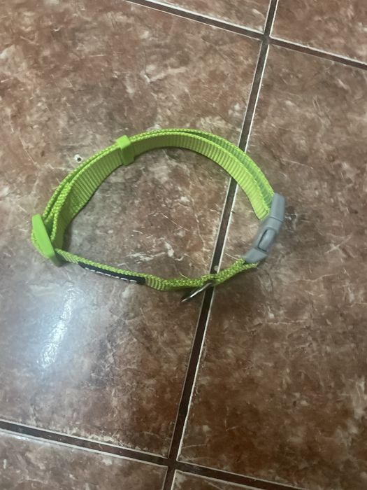 Lesa si zgarda pentru caini